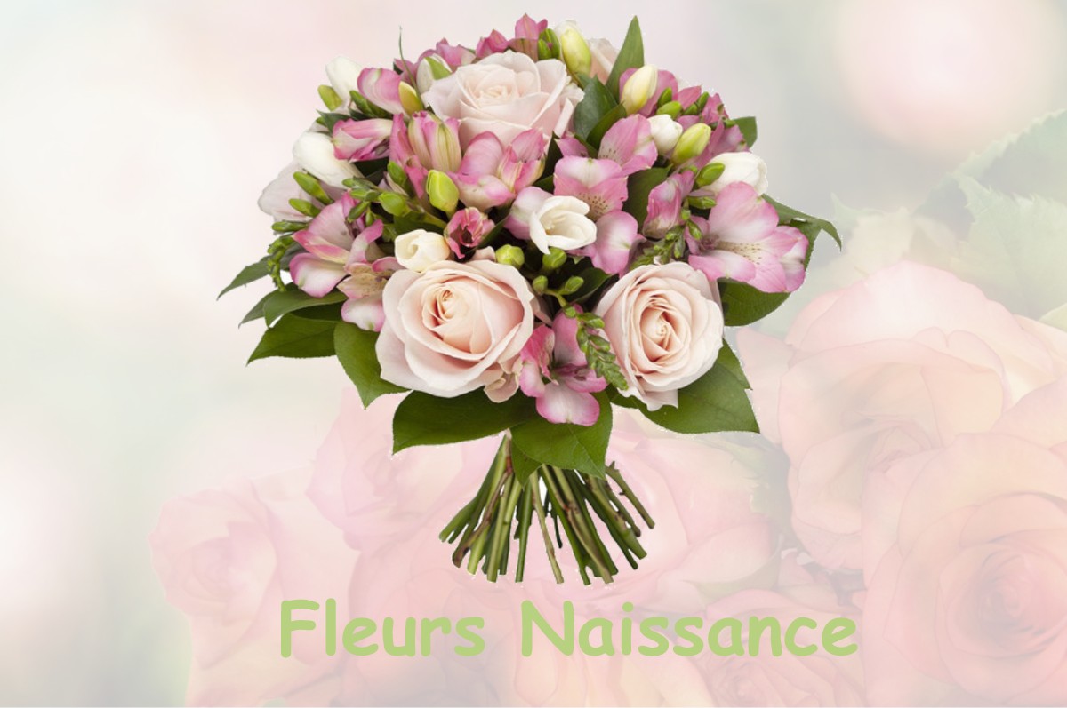 fleurs naissance MIRIBEL-LANCHATRE